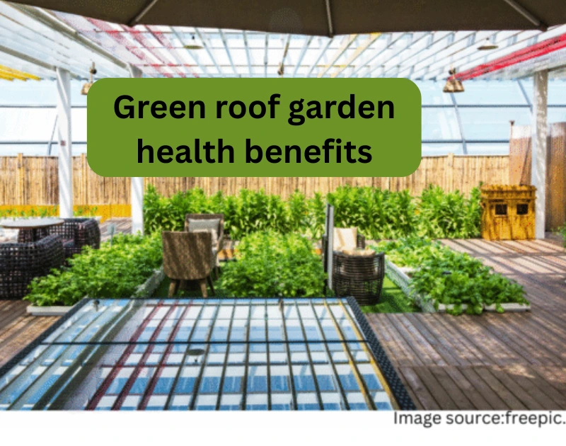 Green roof garden health benefits