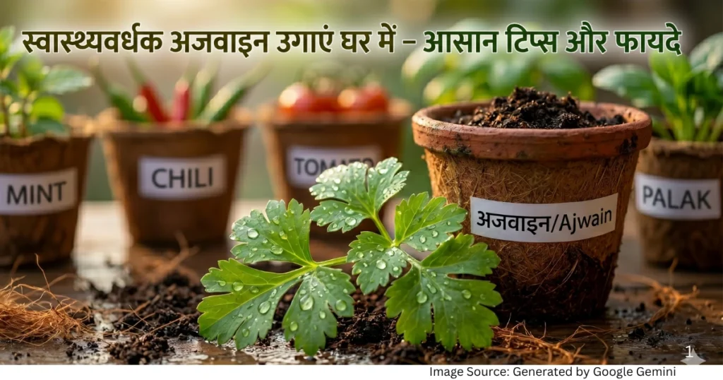 “ओस की बूंदों से चमकती ताजी अजवाइन की पत्तियों की मैक्रो क्लोज-अप गार्डनिंग इमेज”