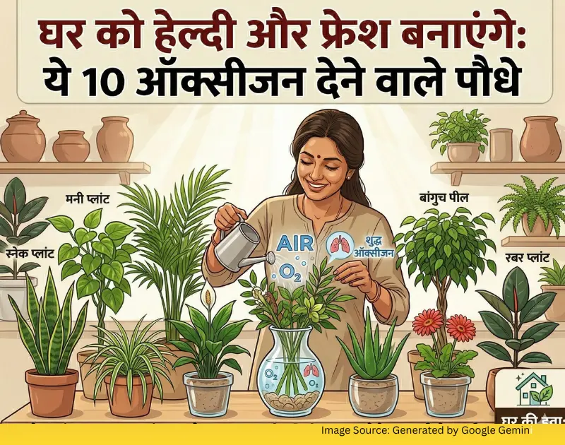 Make your home oxygen-rich area with these 10 plants