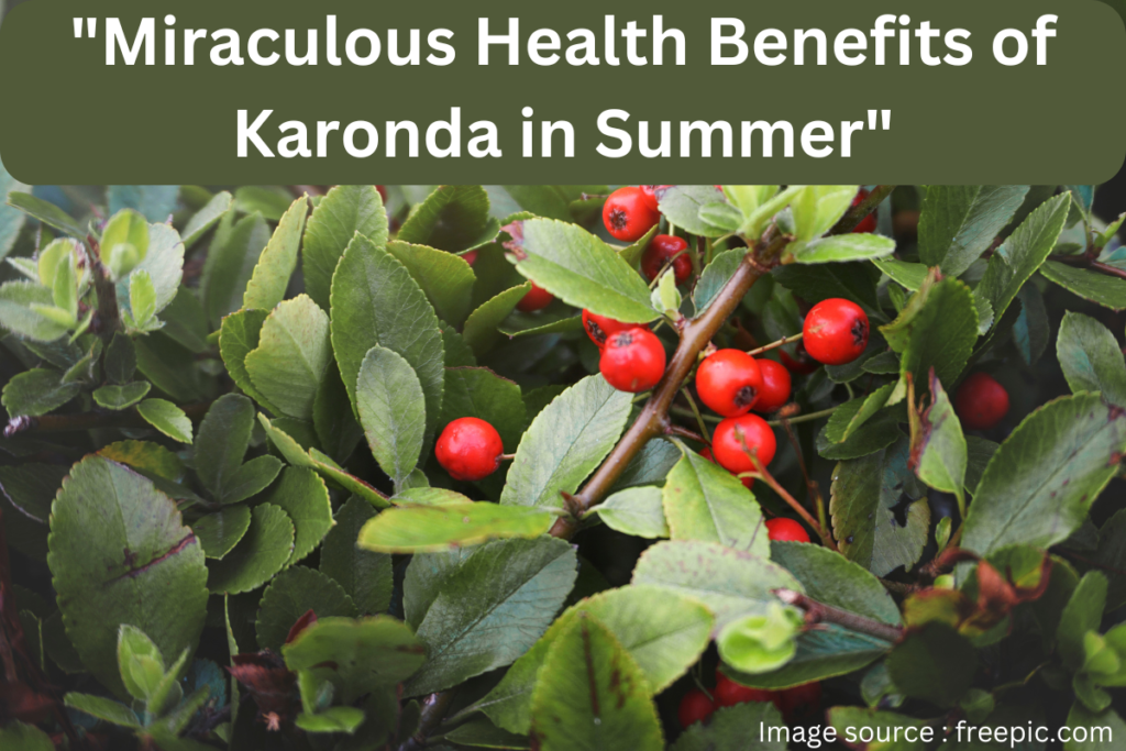 Miraculous Health Benefits of Karonda in Summer