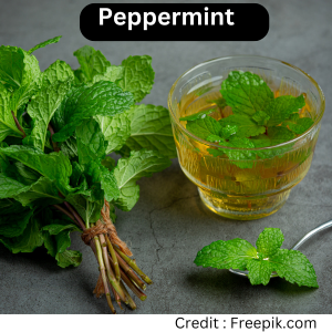 Ghar kee chhat par lagaayen aushadheey paudhe