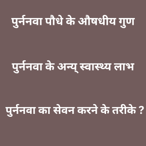 Punarnava amazing healing plant