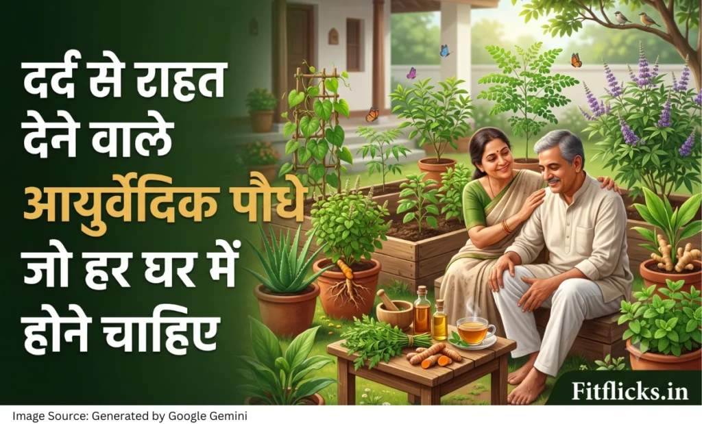 तुलसी, एलोवेरा, हल्दी, गिलोय, नीम, अश्वगंधा और अन्य आयुर्वेदिक पौधों से सजा होम गार्डन जो प्राकृतिक रूप से दर्द से राहत देने वाले पौधों को दर्शाता है।