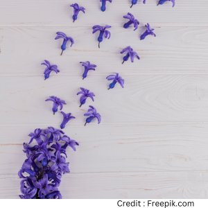 benefits of lavender for better sleep