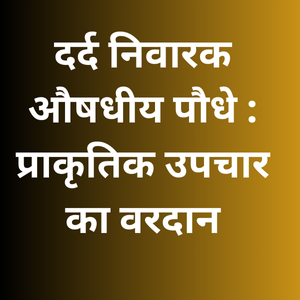 Natural Pain Relief Medicinal Plants for Home