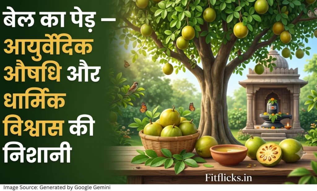 हरी-भरी बेल का पेड़, बेल के फल और पत्तियां, मंदिर का शांत वातावरण तथा आयुर्वेद और भारतीय संस्कृति का सुंदर दृश्य।