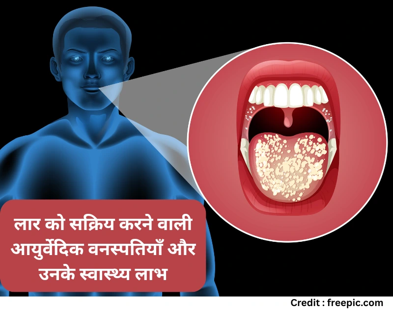 Ayurvedic herbs for saliva health hindi
