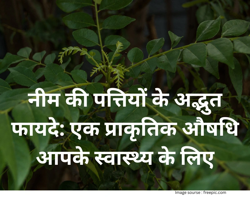 Neem leaves health benefits