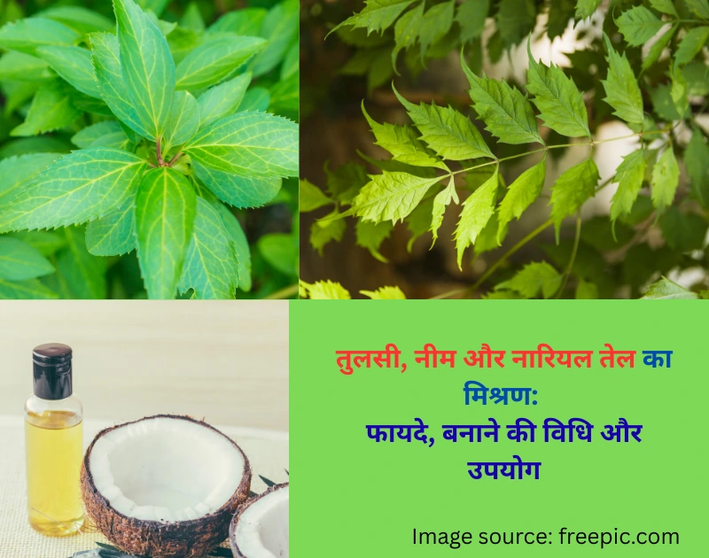 Tulsi neem coconut oil benefits