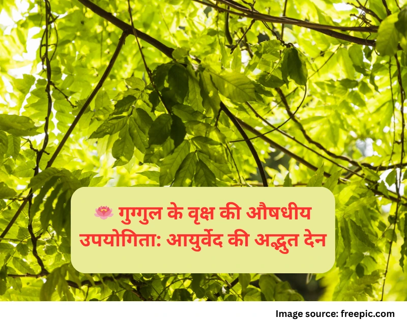 Guggul tree medicinal benefits