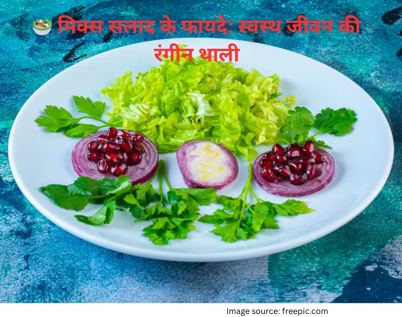 mix-salad-ke-fayde