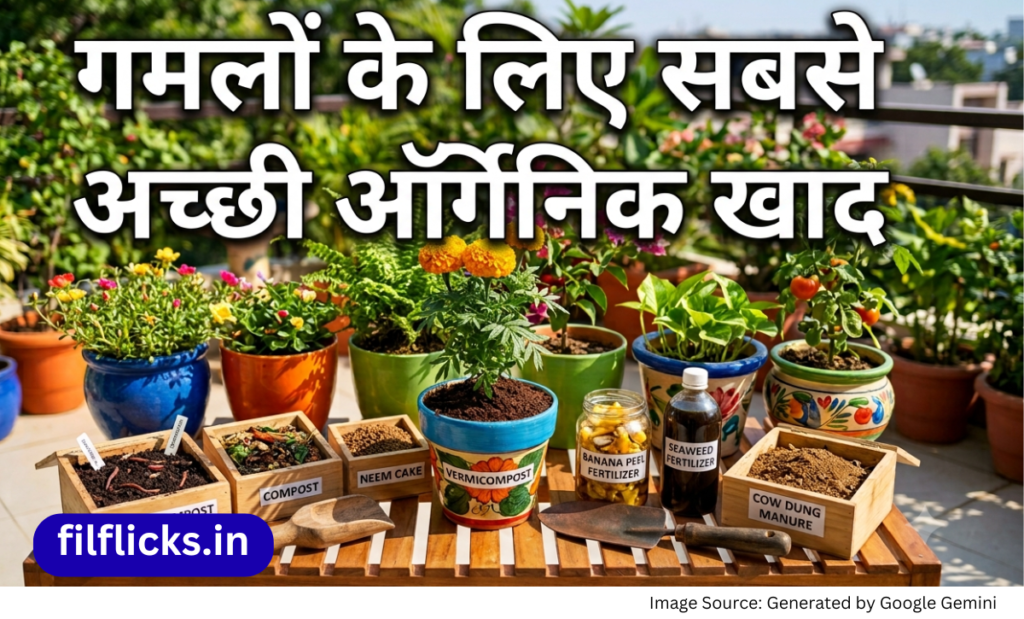 Best Organic Fertilizer for Pots