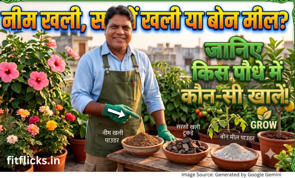 Vermicompost and cow dung compost guide